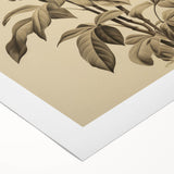 Vintage Botanical Art Prints – Detailed Plant Illustration