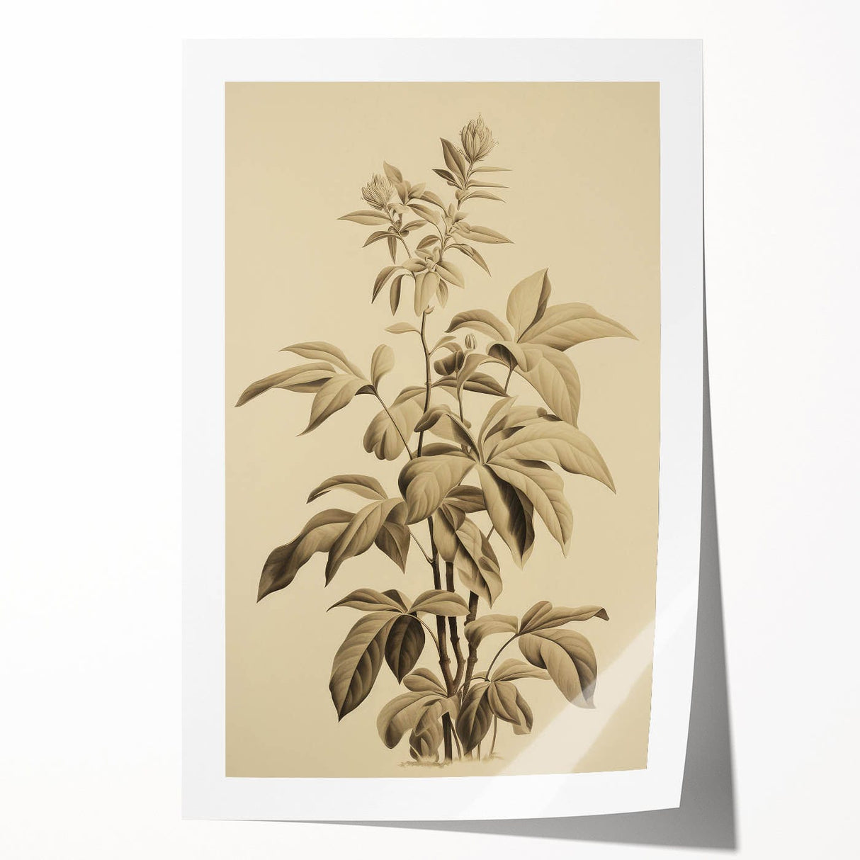 Vintage Botanical Art Prints – Detailed Plant Illustration
