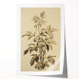 Vintage Botanical Art Prints – Detailed Plant Illustration