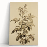 Vintage Botanical Art Prints – Detailed Plant Illustration