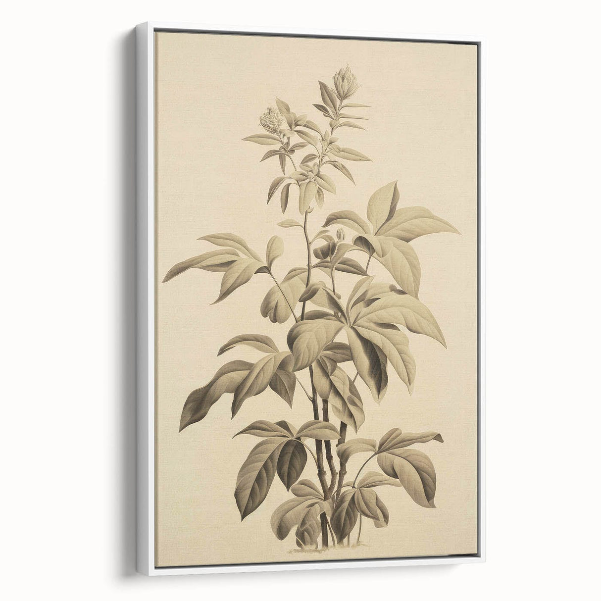 Vintage Botanical Art Prints – Detailed Plant Illustration