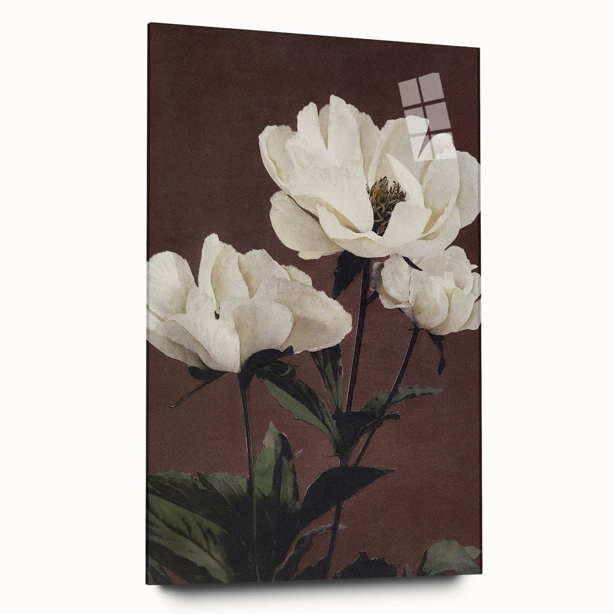 Vintage White Peonies Still Life – Elegant Floral Wall Art Print