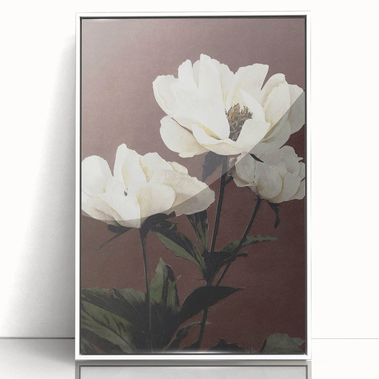 Vintage White Peonies Still Life – Elegant Floral Wall Art Print