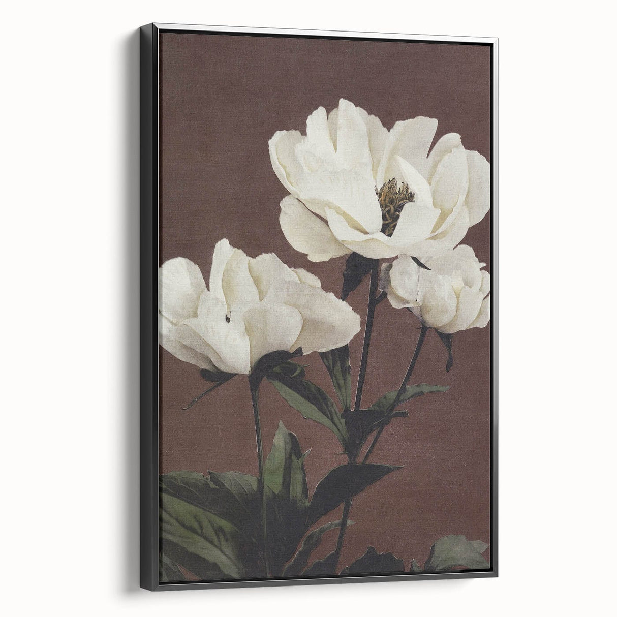 Vintage White Peonies Still Life – Elegant Floral Wall Art Print