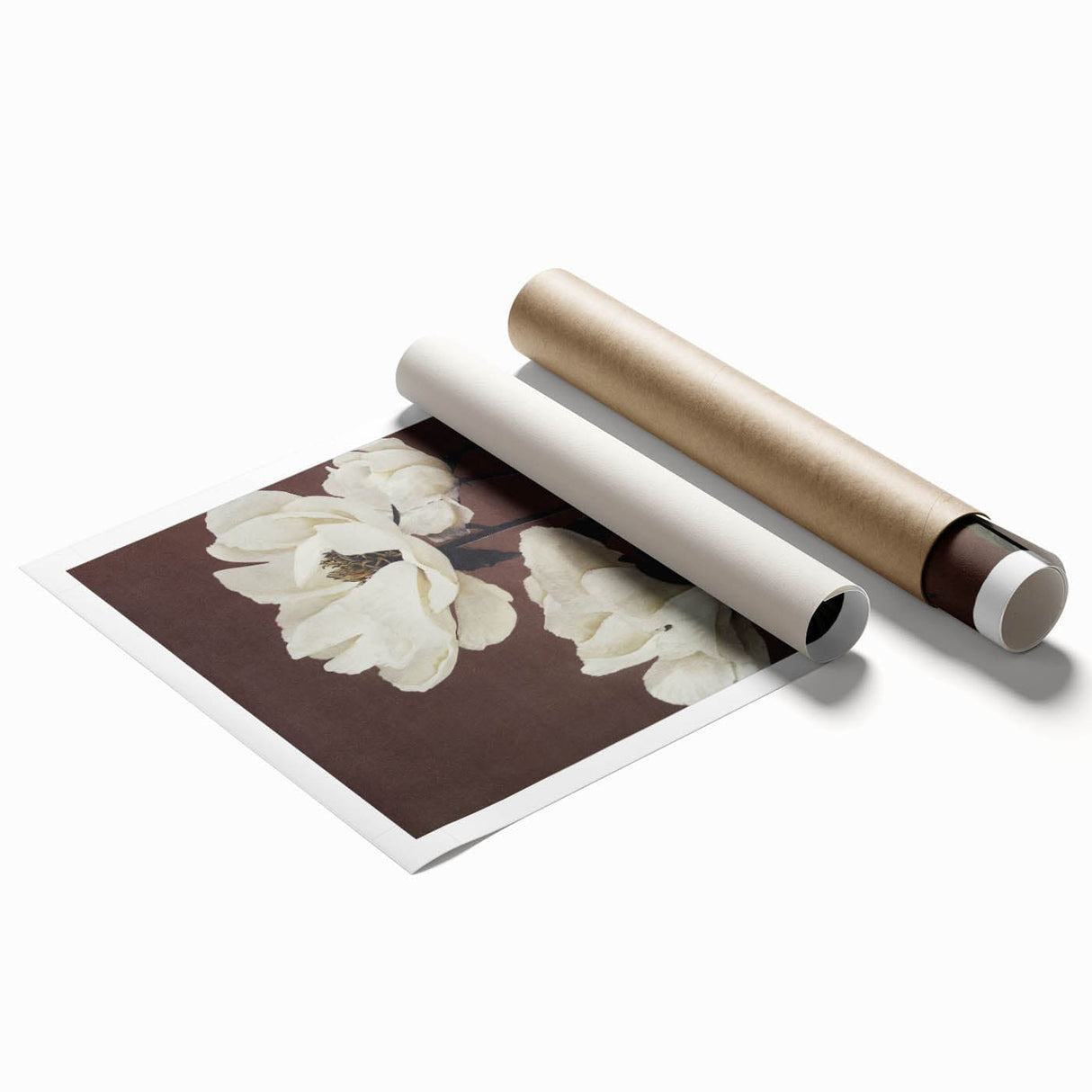 Vintage White Peonies Still Life – Elegant Floral Wall Art Print