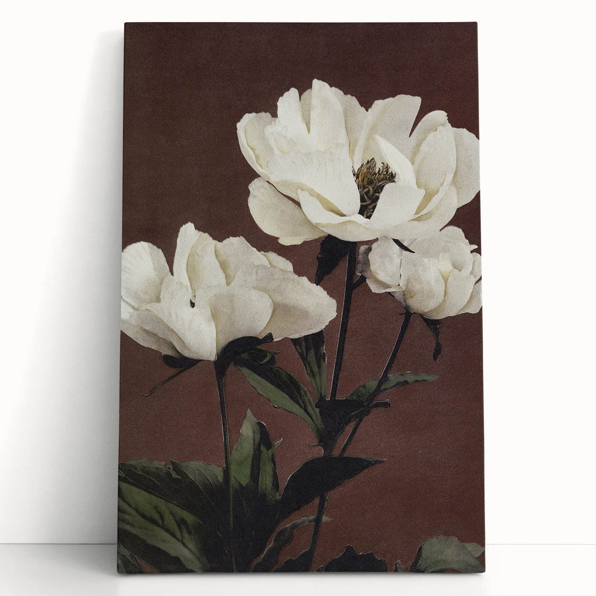 Vintage White Peonies Still Life – Elegant Floral Wall Art Print