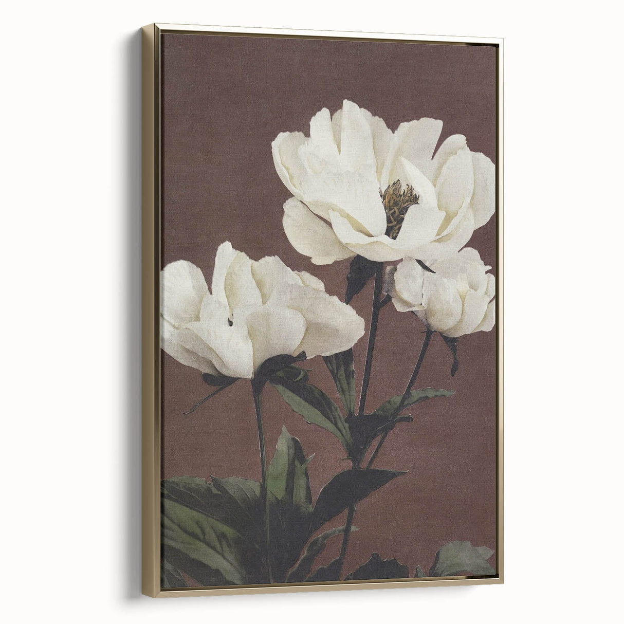 Vintage White Peonies Still Life – Elegant Floral Wall Art Print