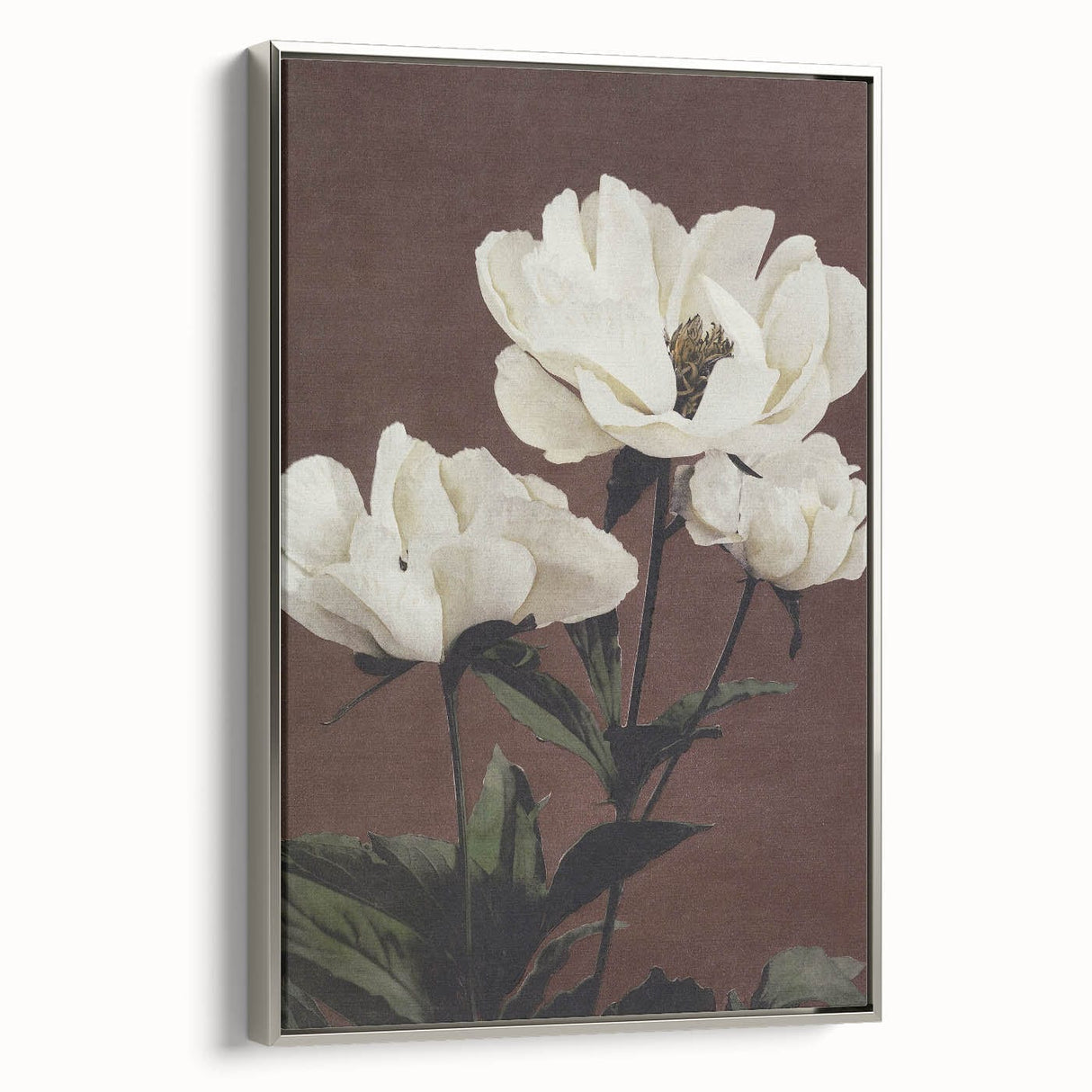 Vintage White Peonies Still Life – Elegant Floral Wall Art Print