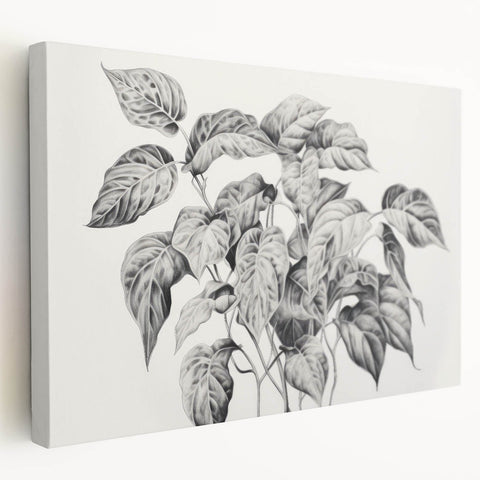 Vintage Botanical Art Prints - Black and White Plant Illustration