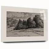 Vintage Landscape Etching - Forest Trees Sketch Canvas