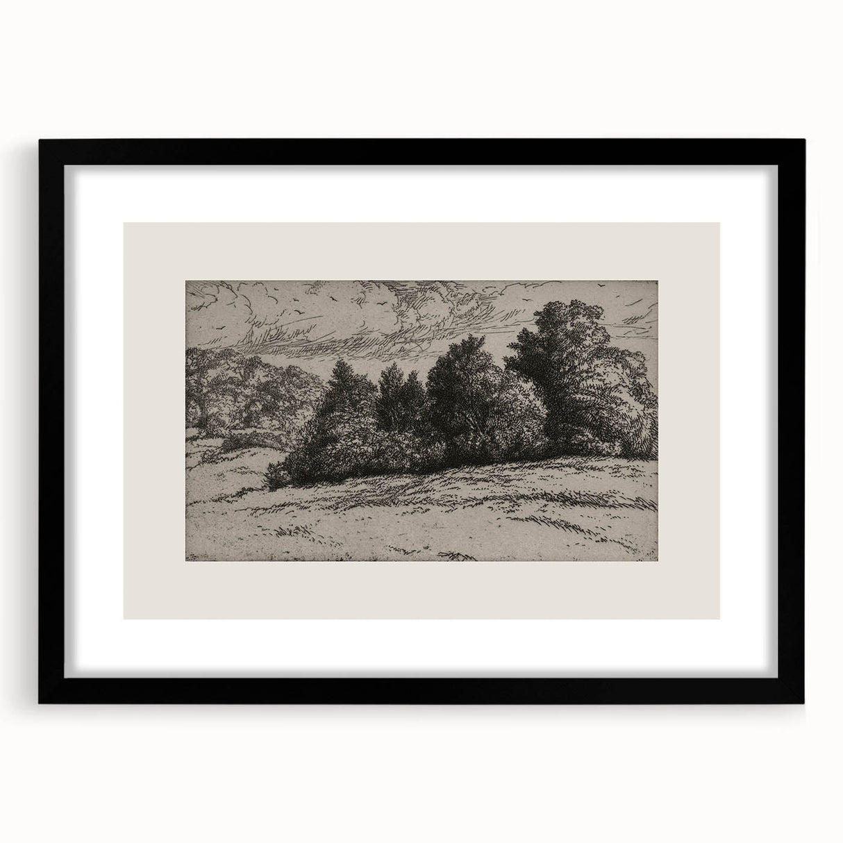 Vintage Landscape Etching - Forest Trees Sketch Canvas