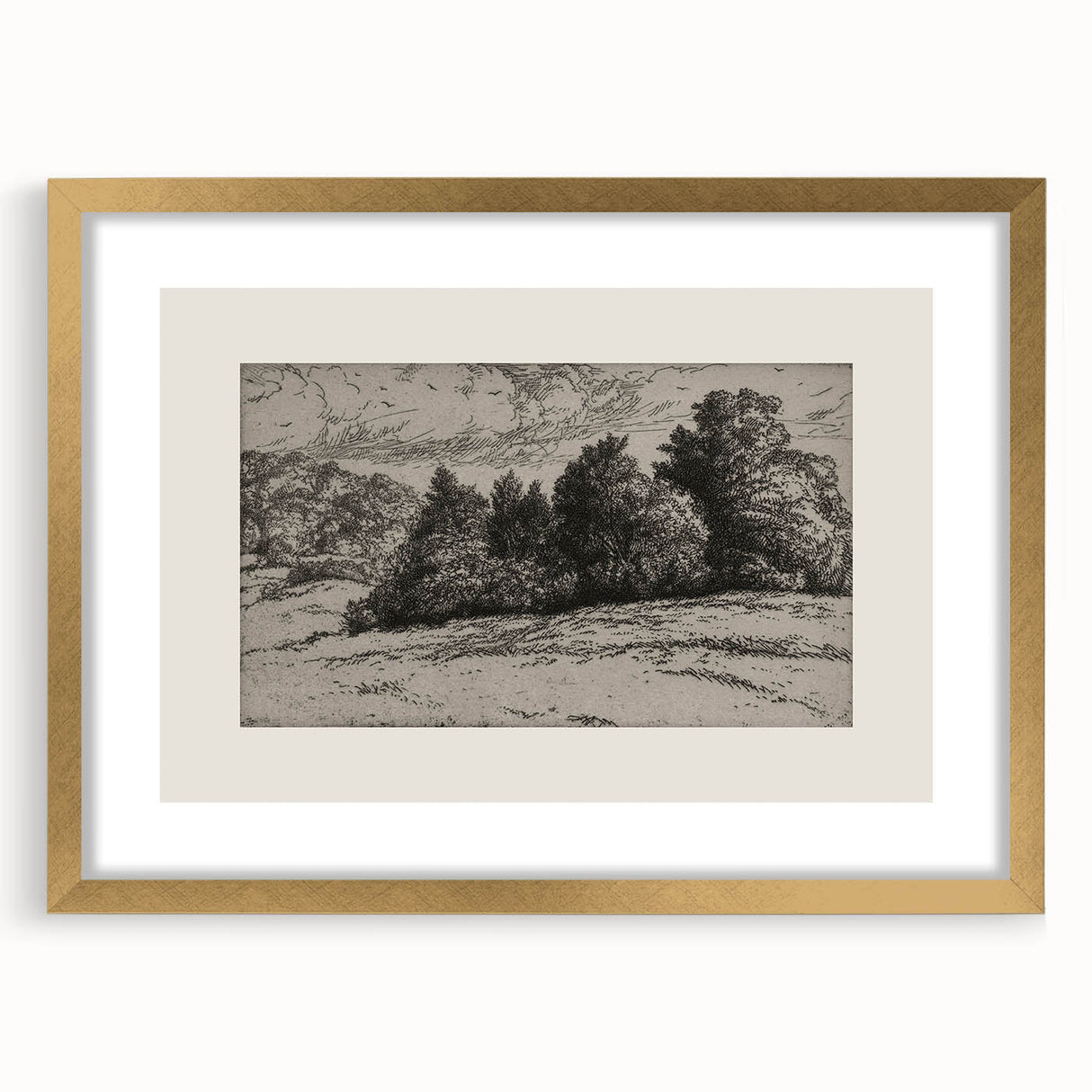 Vintage Landscape Etching - Forest Trees Sketch Canvas