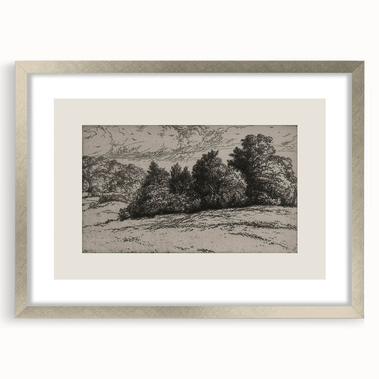 Vintage Landscape Etching - Forest Trees Sketch Canvas