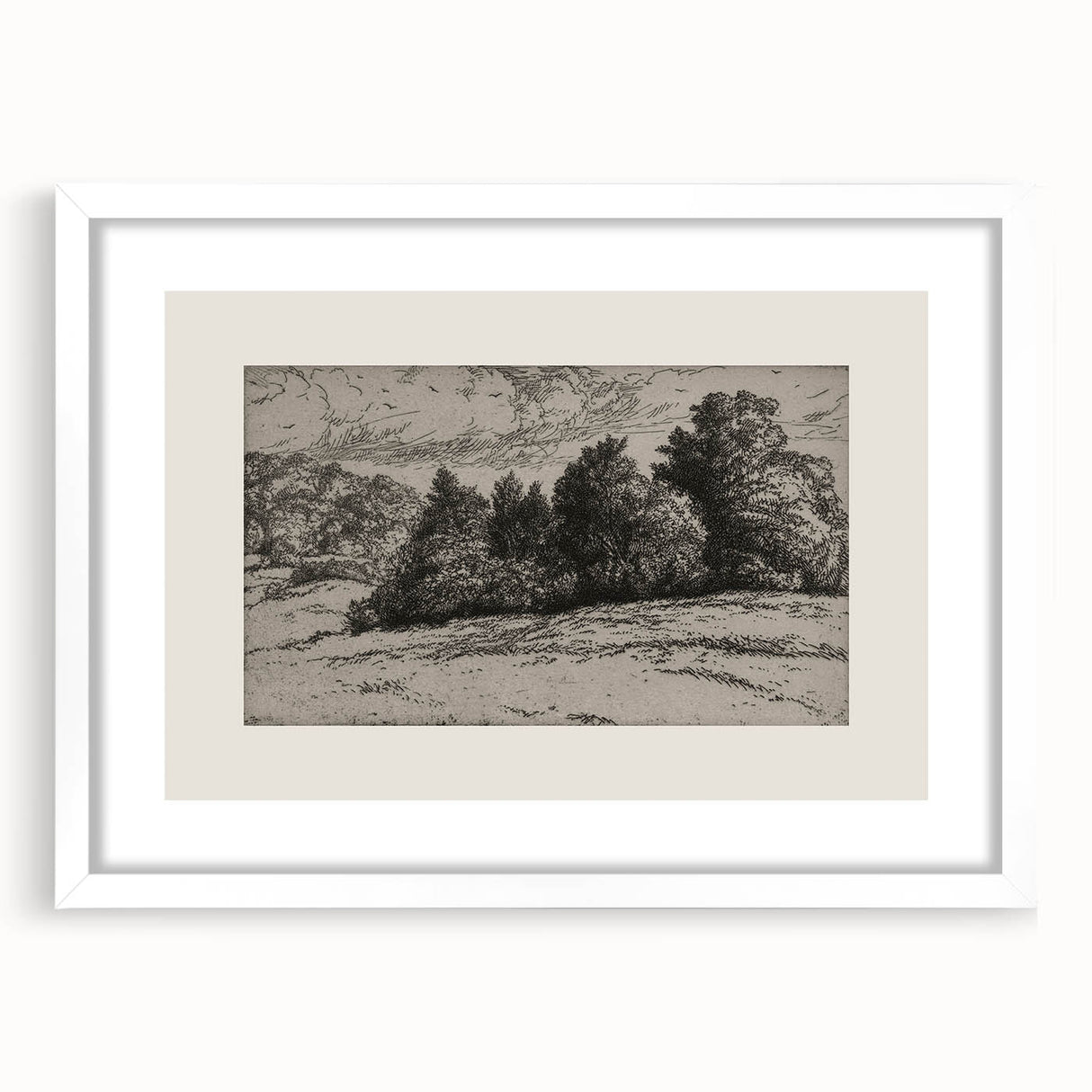 Vintage Landscape Etching - Forest Trees Sketch Canvas