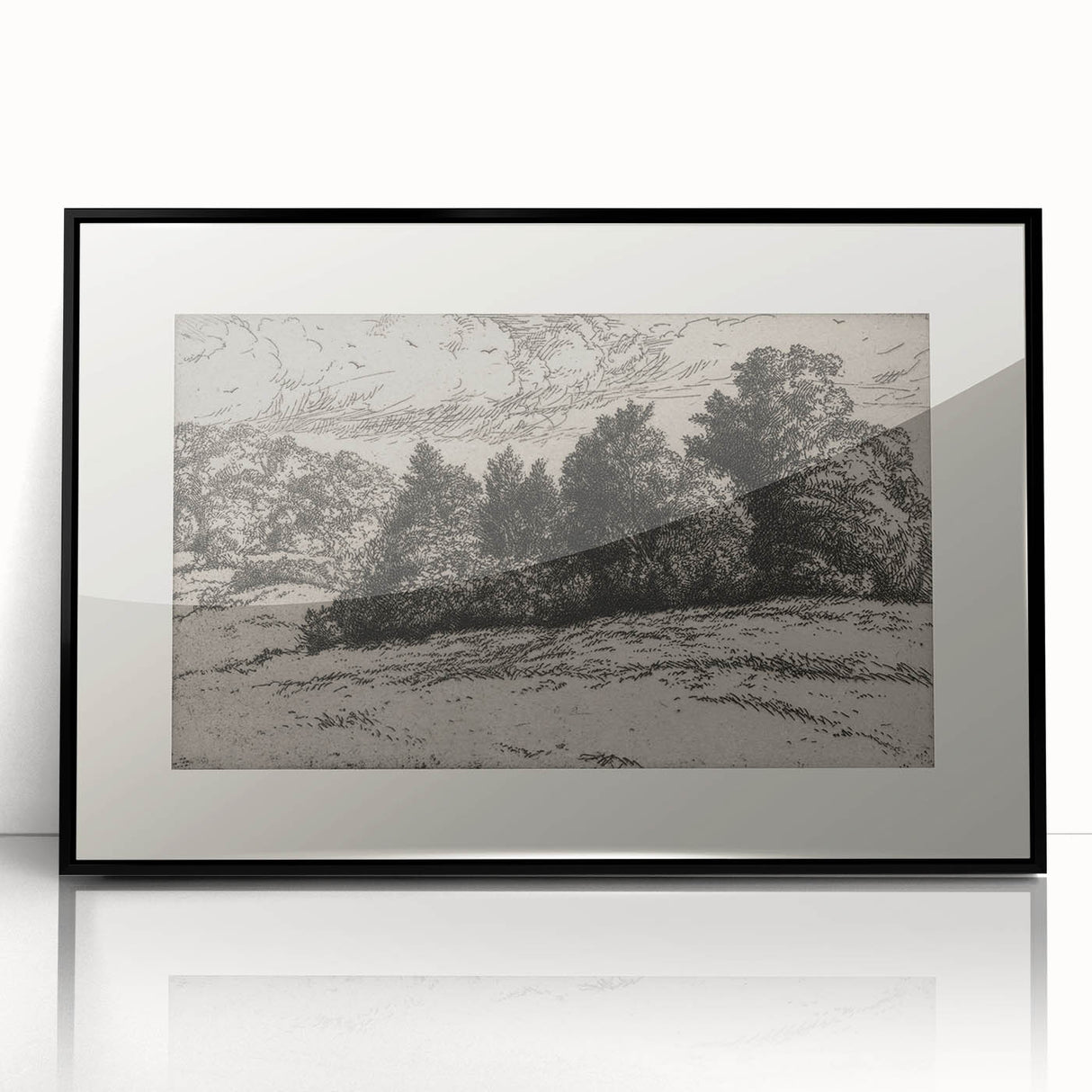 Vintage Landscape Etching - Forest Trees Sketch Canvas