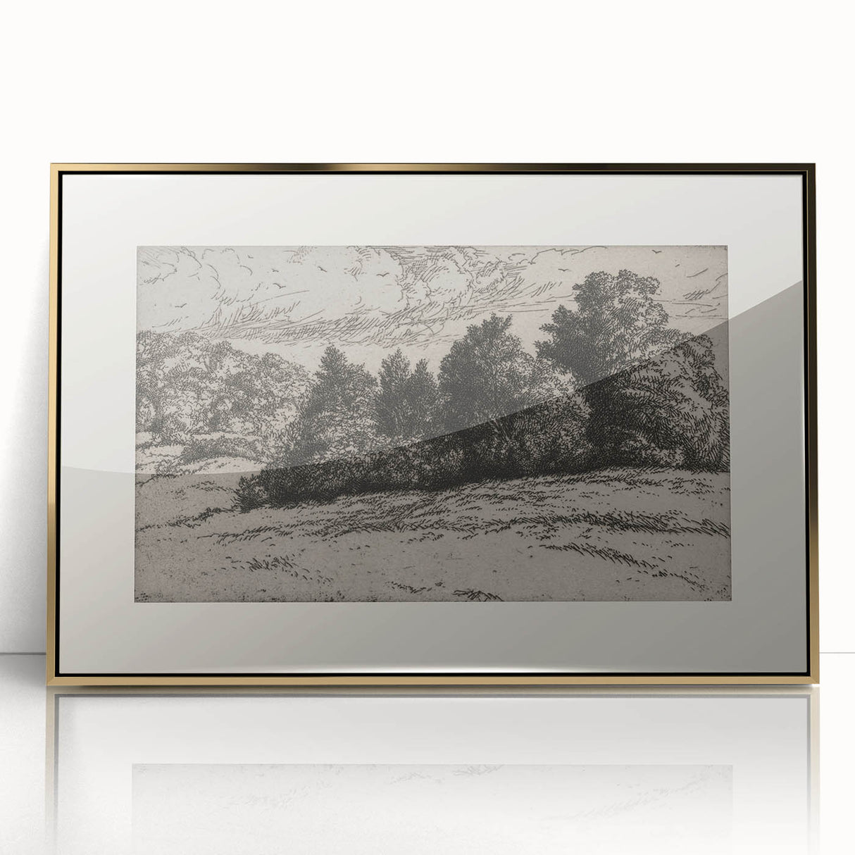 Vintage Landscape Etching - Forest Trees Sketch Canvas