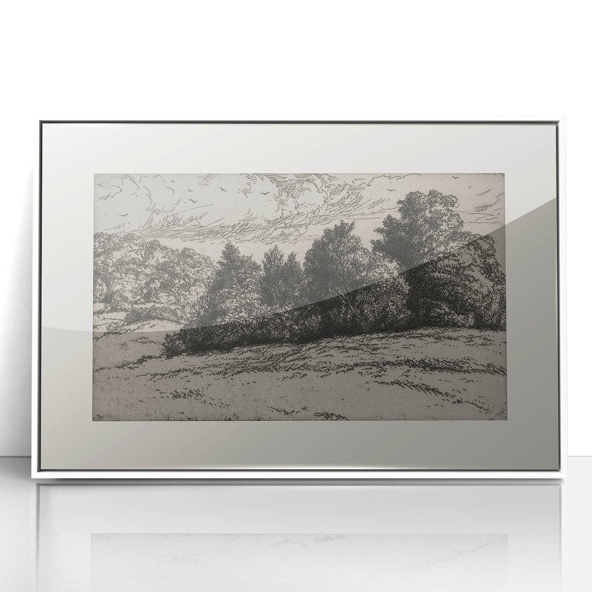 Vintage Landscape Etching - Forest Trees Sketch Canvas