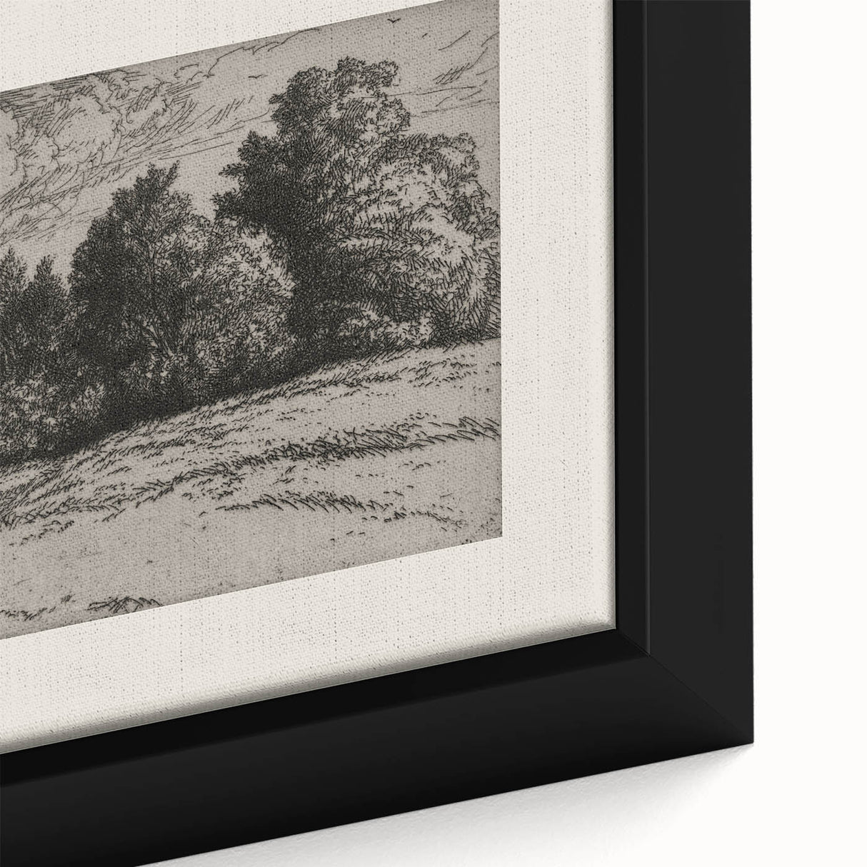 Vintage Landscape Etching - Forest Trees Sketch Canvas