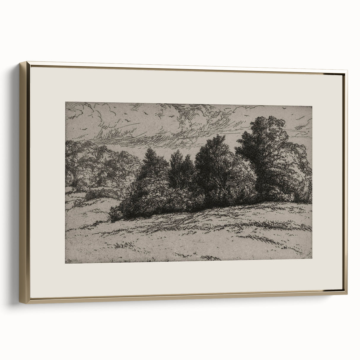 Vintage Landscape Etching - Forest Trees Sketch Canvas