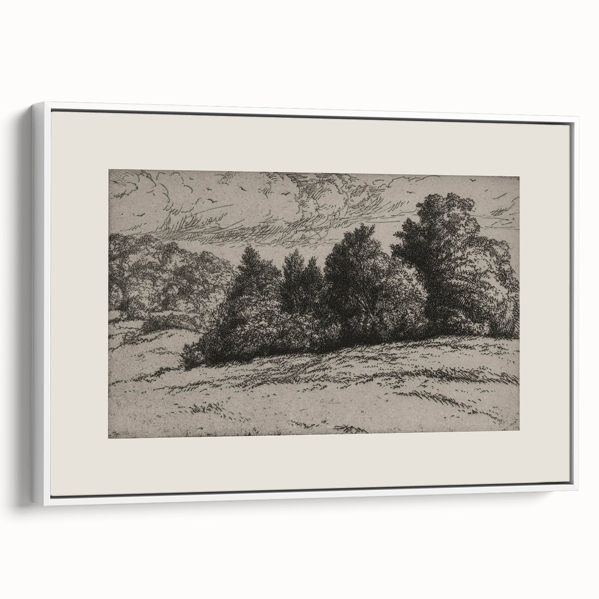 Vintage Landscape Etching - Forest Trees Sketch Canvas