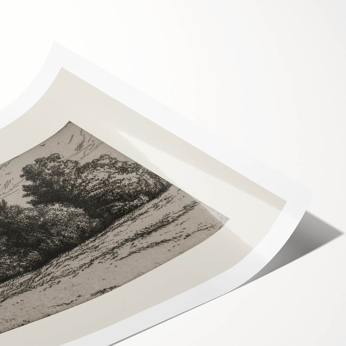 Vintage Landscape Etching - Forest Trees Sketch Canvas