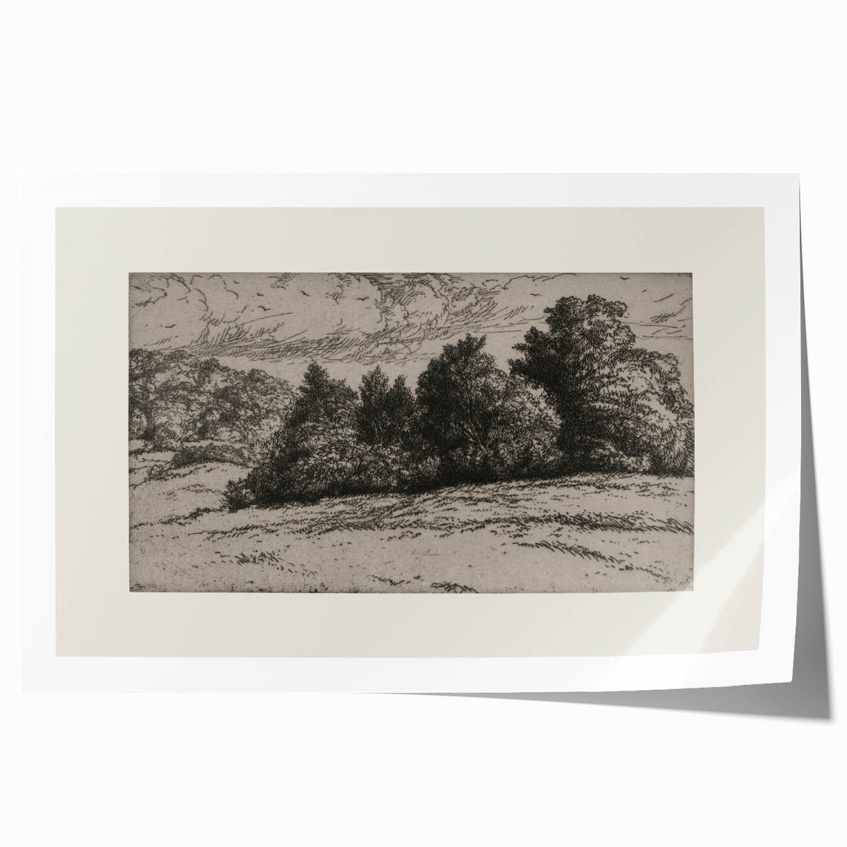 Vintage Landscape Etching - Forest Trees Sketch Canvas
