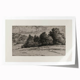 Vintage Landscape Etching - Forest Trees Sketch Canvas