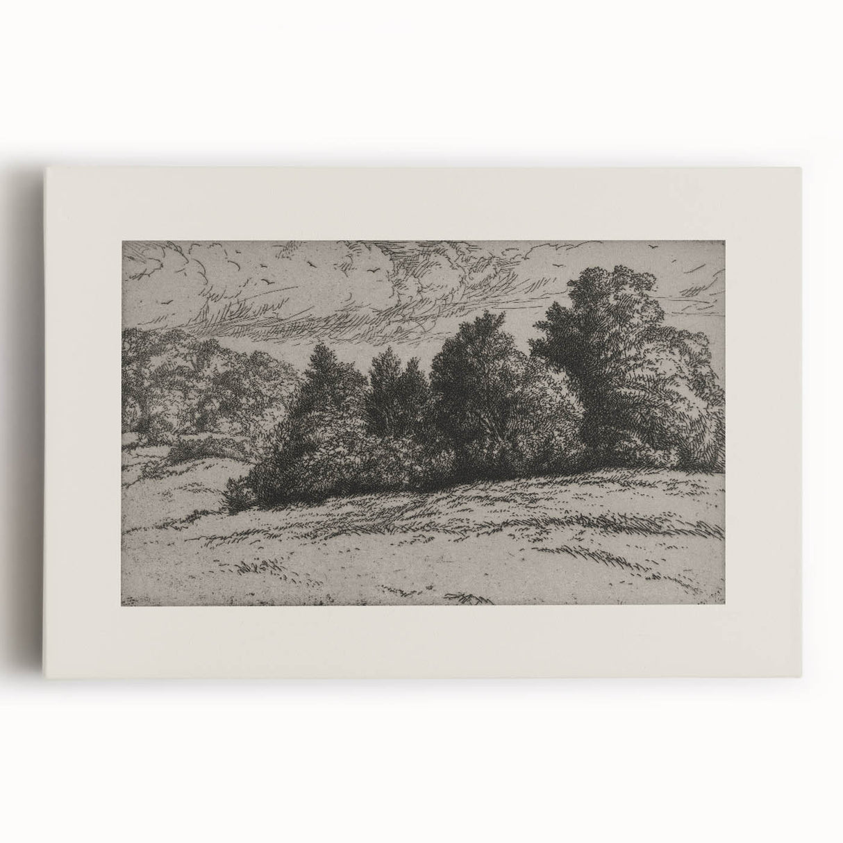 Vintage Landscape Etching - Forest Trees Sketch Canvas