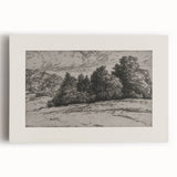 Vintage Landscape Etching - Forest Trees Sketch Canvas