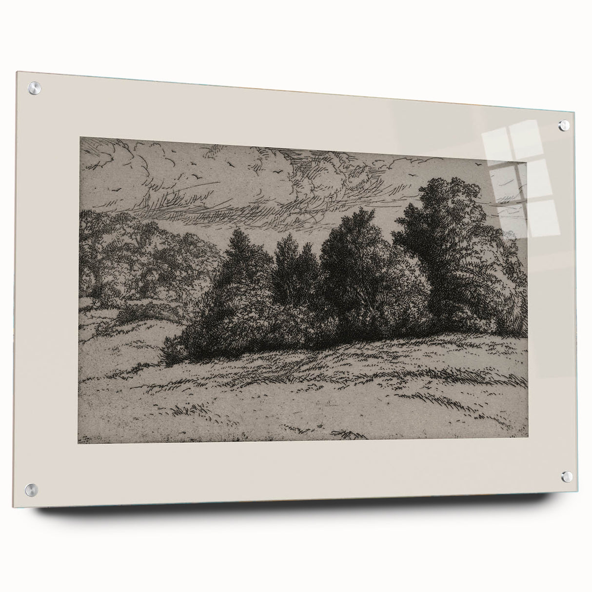 Vintage Landscape Etching - Forest Trees Sketch Canvas