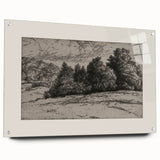 Vintage Landscape Etching - Forest Trees Sketch Canvas