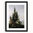 Vintage Forest Landscape – Classic Nature Wall Art Print