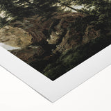 Vintage Forest Landscape – Classic Nature Wall Art Print