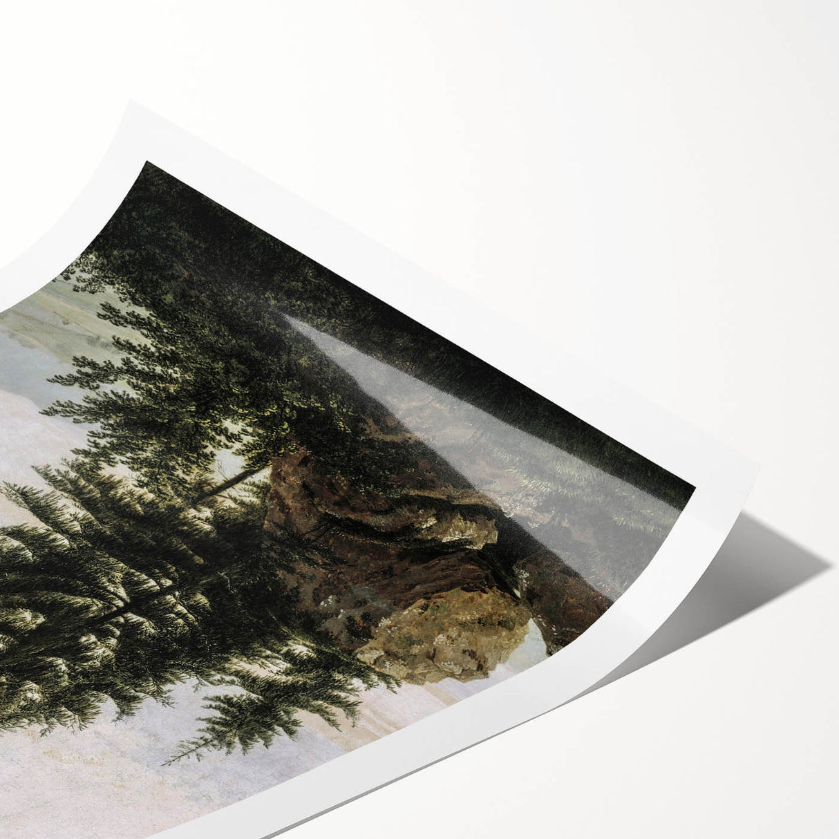 Vintage Forest Landscape – Classic Nature Wall Art Print