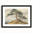 Vintage Landscape Art - Windswept Pine Tree on Rocky Hill