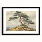 Vintage Landscape Art - Windswept Pine Tree on Rocky Hill