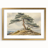 Vintage Landscape Art - Windswept Pine Tree on Rocky Hill