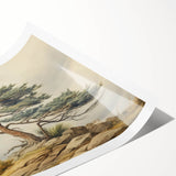 Vintage Landscape Art - Windswept Pine Tree on Rocky Hill