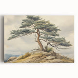Vintage Landscape Art - Windswept Pine Tree on Rocky Hill