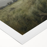 Vintage Landscape Art - Windy Grassland Scene