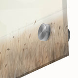 Vintage Landscape Art – Serene Field with Tall Grass and Fog