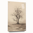 Vintage Tree Sketch Art – Classic Monochrome Nature Wall Print