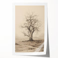 Vintage Tree Sketch Art – Classic Monochrome Nature Wall Print