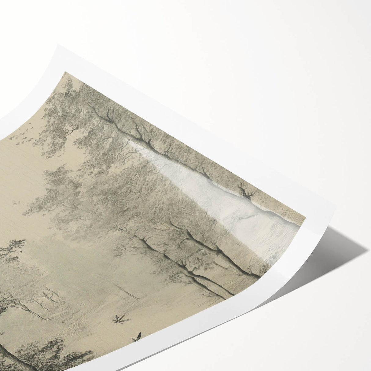 Monochrome Vintage Landscape Art – Classic Forest Scene Print