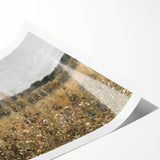 Vintage Landscape Art - Wildflower Meadow with Country House Print