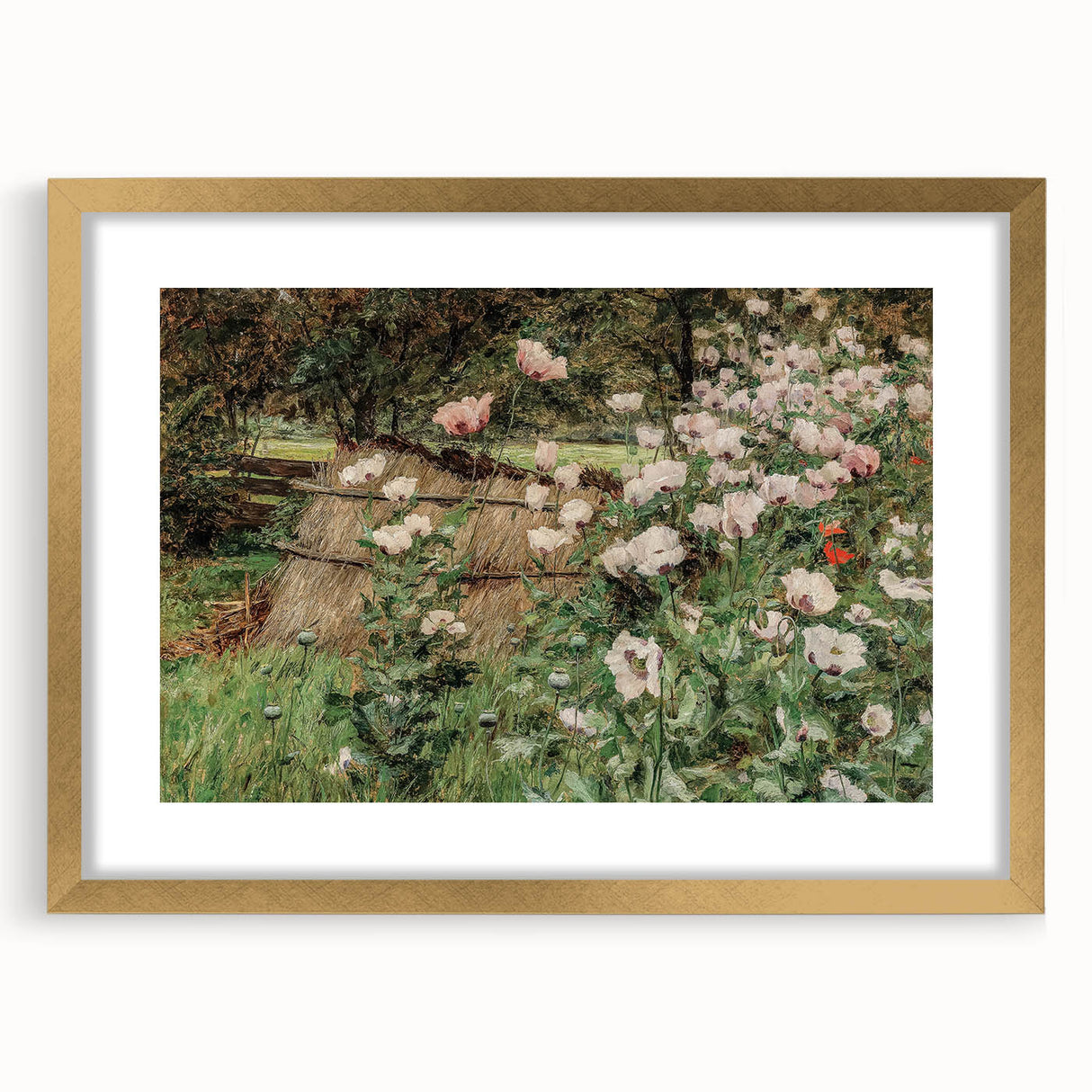 Vintage Poppy Field Art - Antique Floral Landscape Canvas