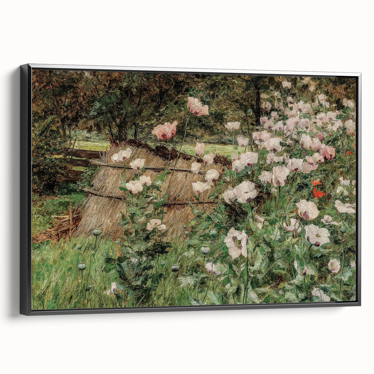 Vintage Poppy Field Art - Antique Floral Landscape Canvas