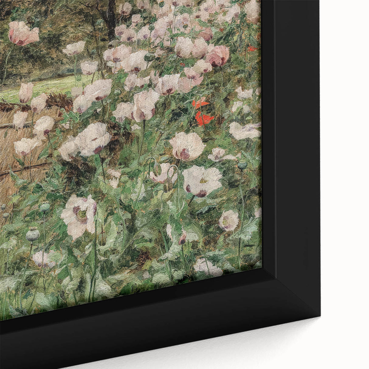 Vintage Poppy Field Art - Antique Floral Landscape Canvas