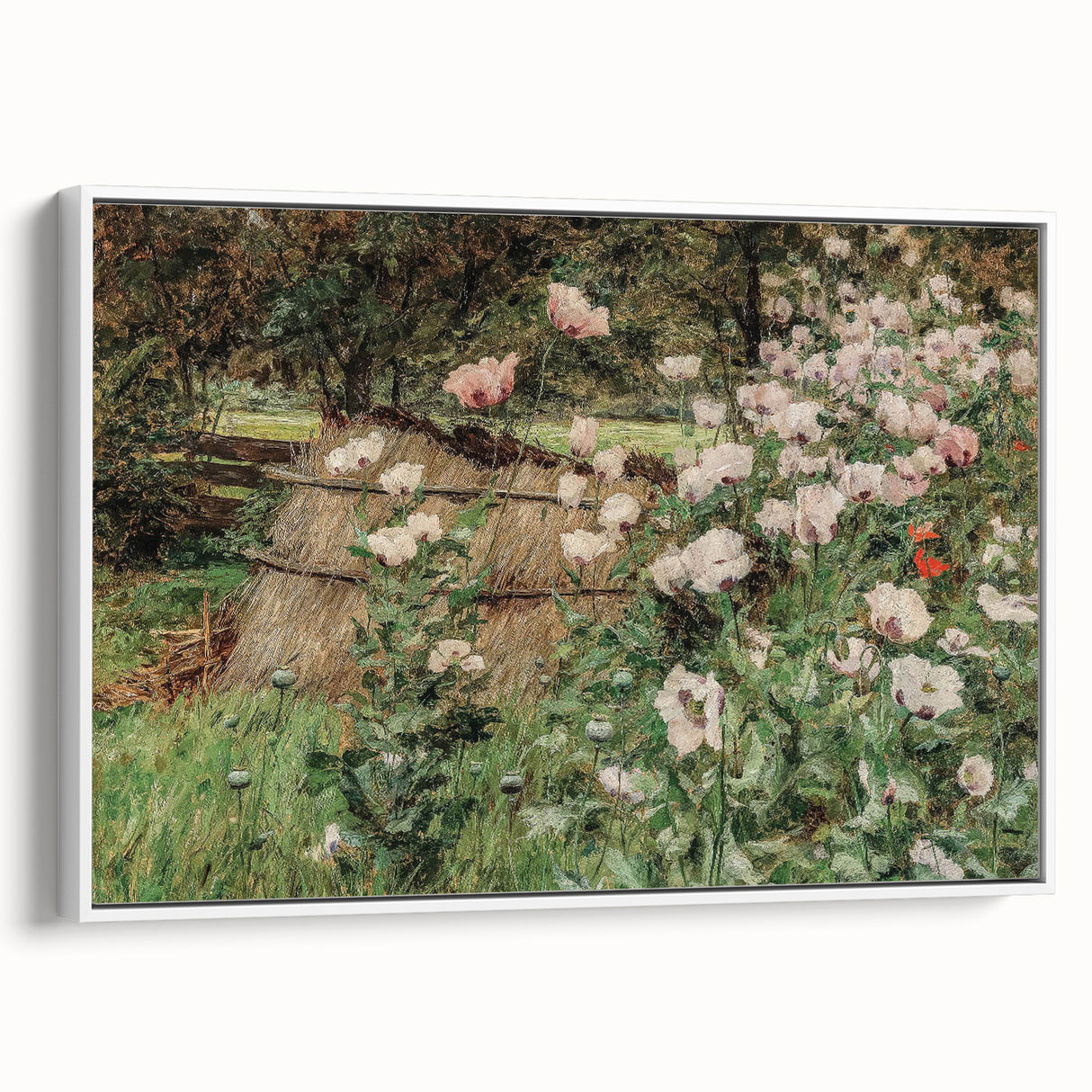 Vintage Poppy Field Art - Antique Floral Landscape Canvas