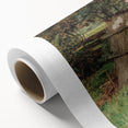 Vintage Poppy Field Art - Antique Floral Landscape Canvas